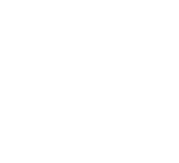 Fierro - Entrenamientos con IA